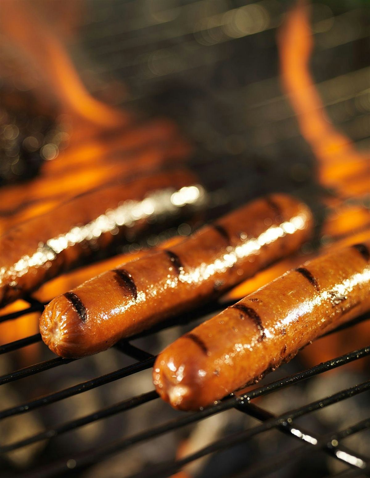 Biochar BBQ with Argonne National Labs, 14 August | Event in Chicago | AllEvents