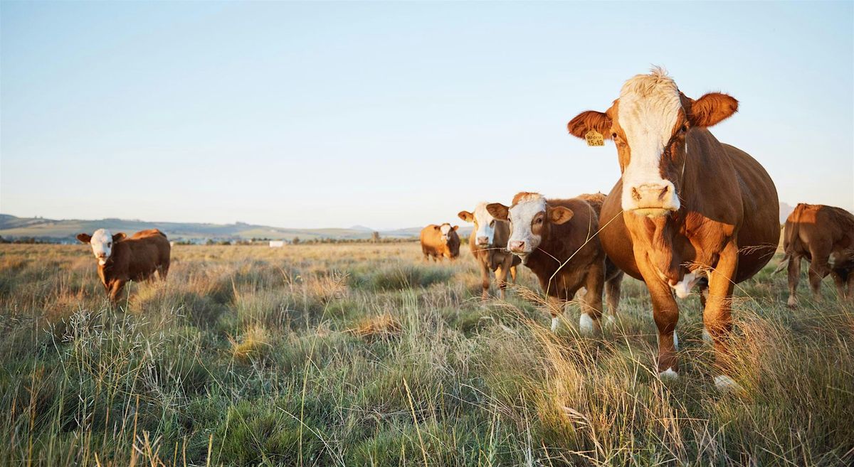 Beef Quality Assurance Workshop and Certification - Greenlee County, 27 June | Event in Duncan | AllEvents