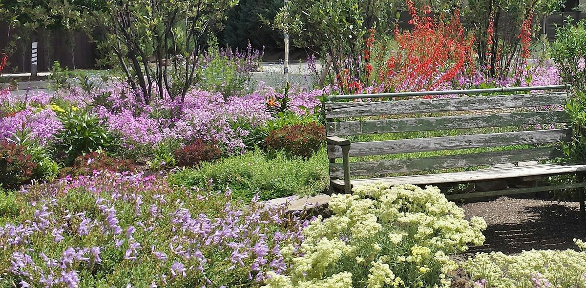 WaterWise Landscape Field Day and Native Plant Giveaway, 14 June | Event in Bend | AllEvents