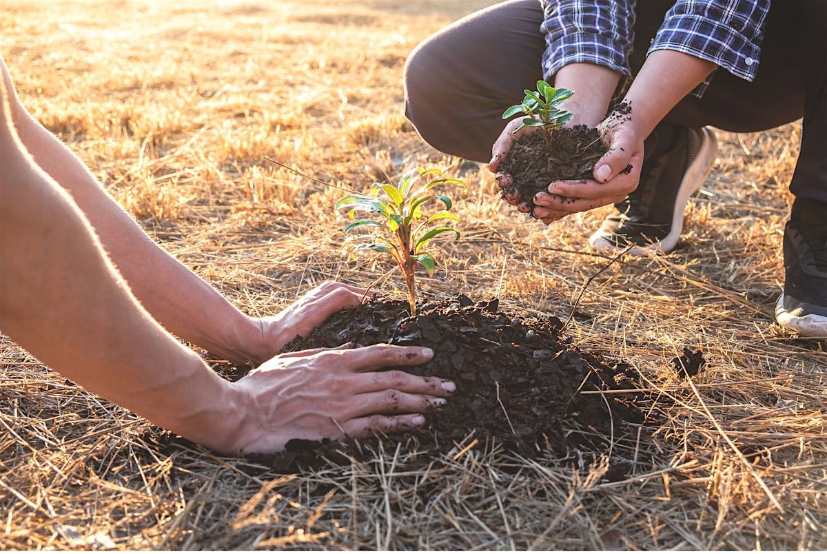 Tree Planting at Del Prado Linear Park, 23 May | Event in Cape Coral | AllEvents