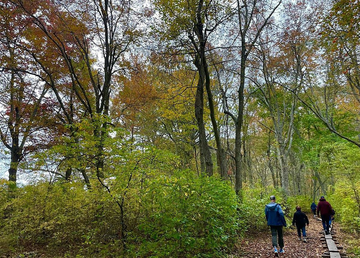 Fall Foliage Walk & Talk, 15 October | Event in Portsmouth | AllEvents