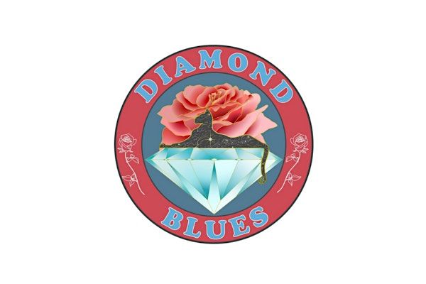 Music by The Diamond Blues, 29 November | Event in Bristol | AllEvents