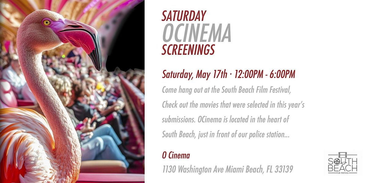 South Beach Film Festival, O Cinema Screenings | Event in miami beach | AllEvents
