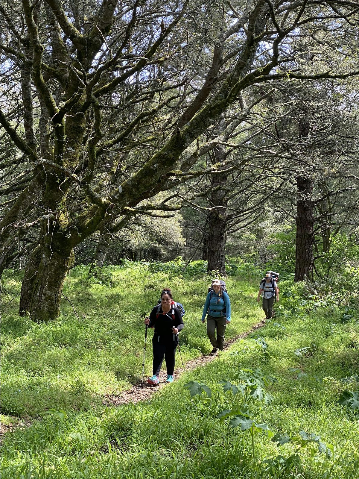 Overnight Backpacking Adventure at Point Reyes, 8 November | Event in Bolinas | AllEvents