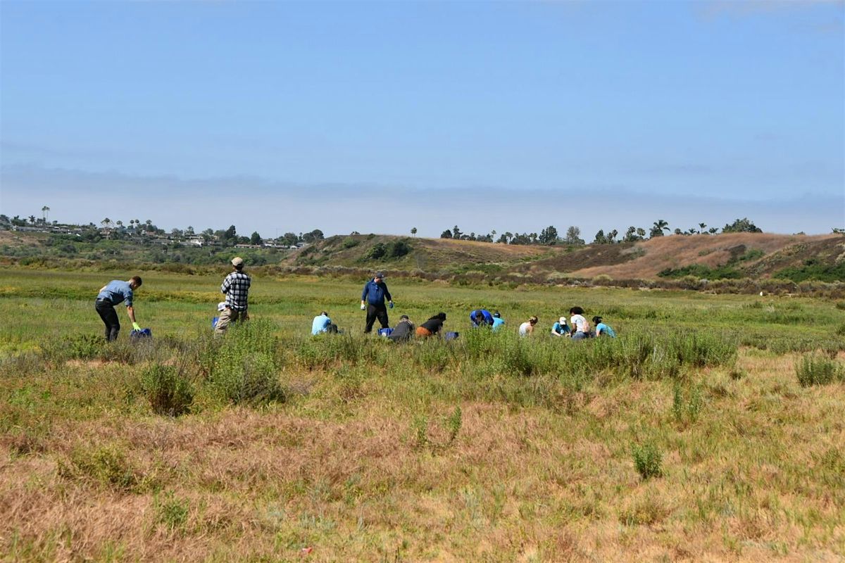 OCH Restoration at the Upper Newport Bay (2025) | Event in Newport Beach | AllEvents