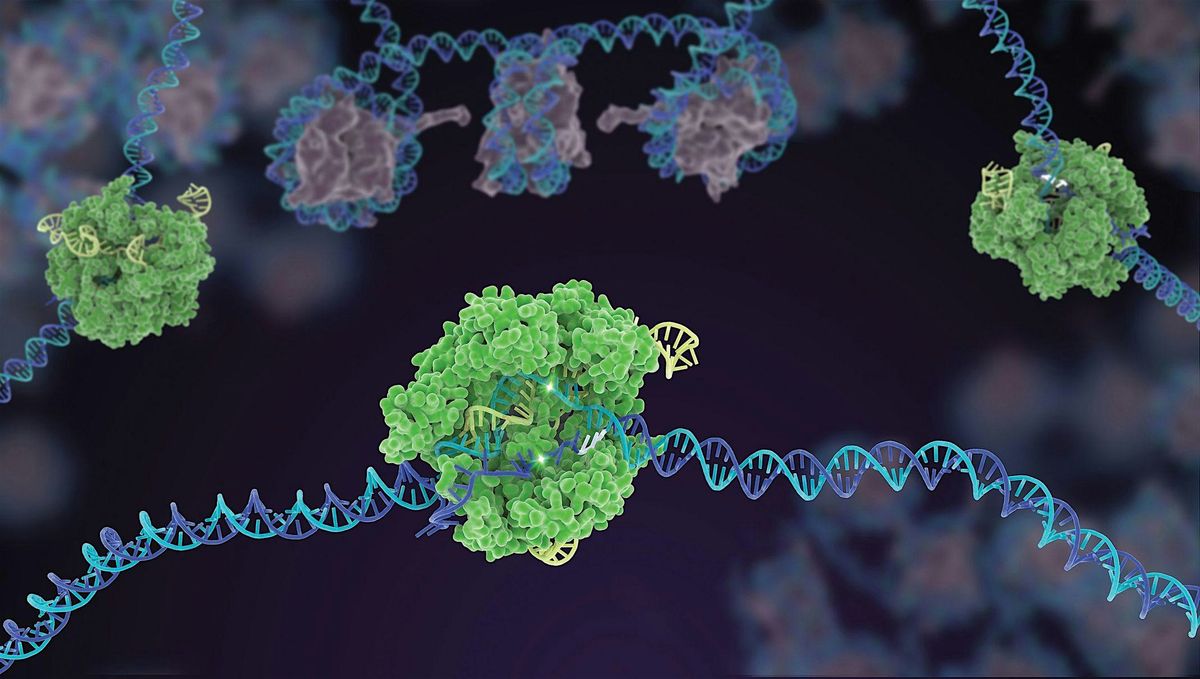 6th Annual Cell & Gene Therapy Panel, 5 June | Event in San Bruno | AllEvents