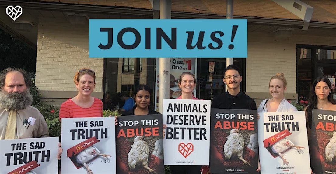Protest Subway End Cages in Hartford, Connecticut!, 29 May | Event in Hartford | AllEvents