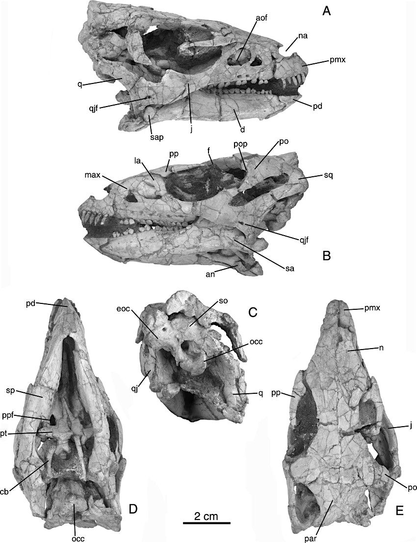 25th Anniversary Cave Canem Prize Reading - Berlin | Event in Berlin | AllEvents