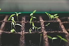 Starting Veggies, 28 February | Event in Sparks | AllEvents