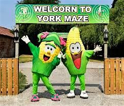 Move More Holiday Programme. Trip to York Maze. Tuesday 28th October, 28 October | Event in Darlington | AllEvents