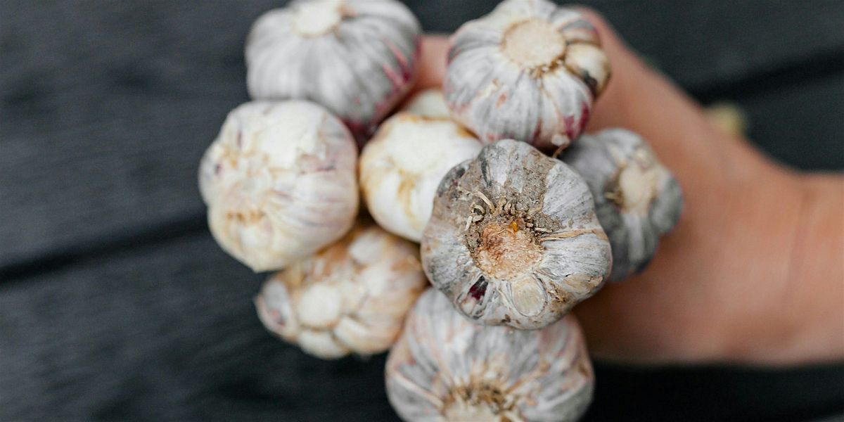 Garlic Growing Workshop, 21 September | Event in Delta | AllEvents