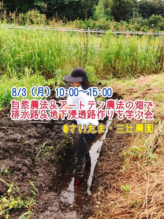 農法 アートテン