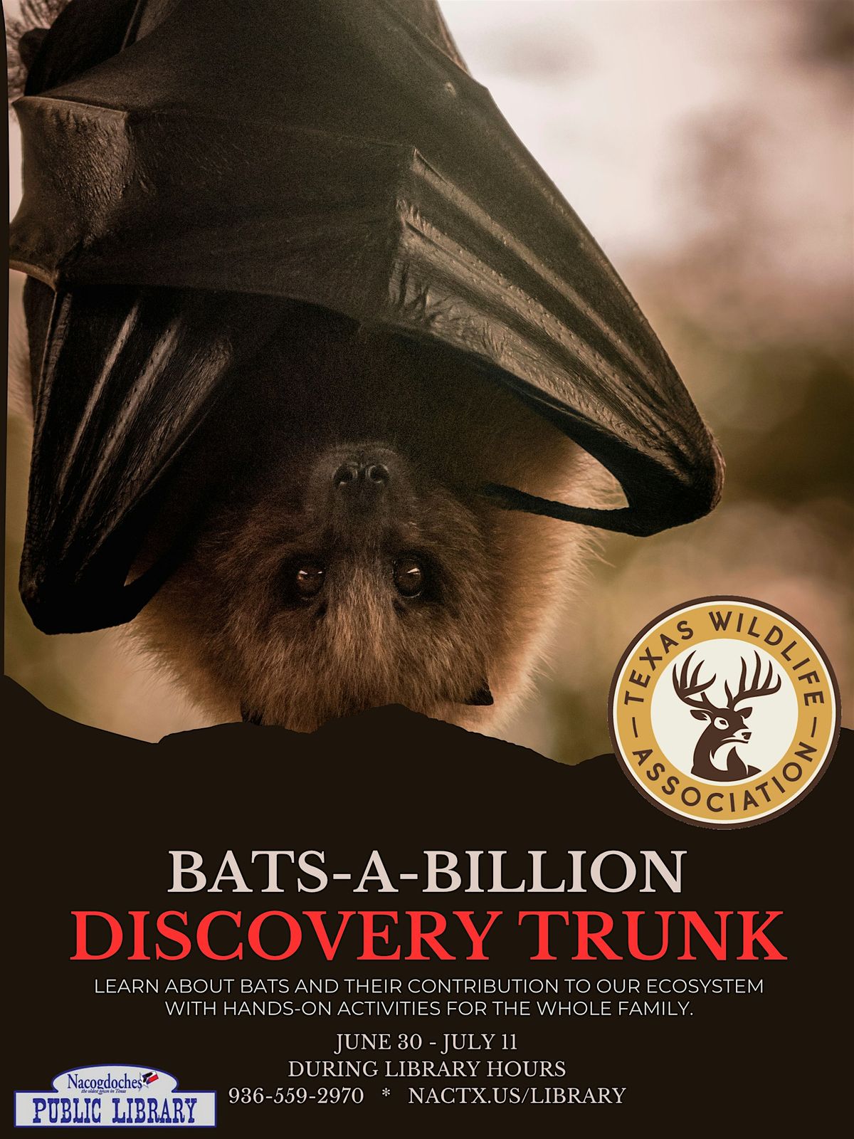 Bats A Billion Discovery Trunk, 30 June | Event in Nacogdoches | AllEvents