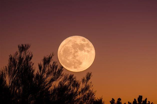 Four Energy Gates Full Moon Experience | Event in Armonk | AllEvents