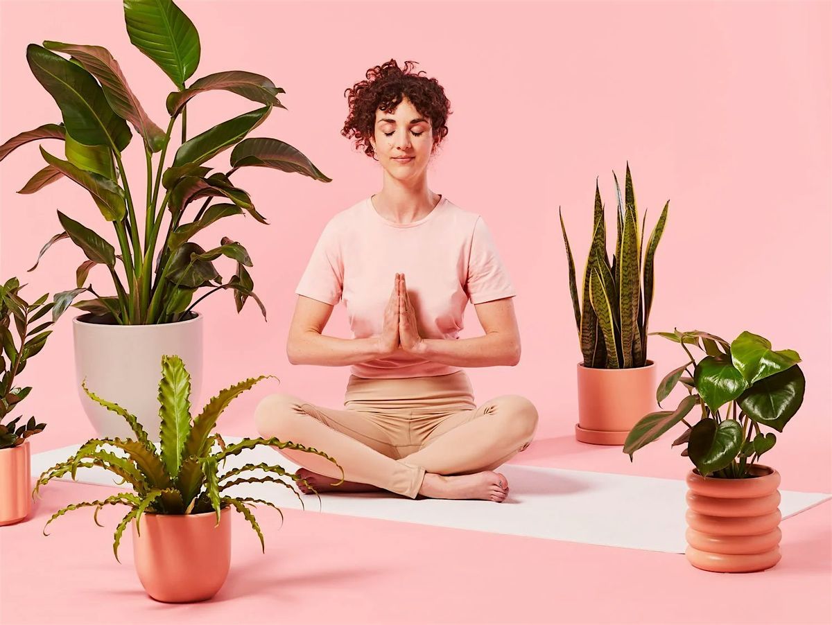 Yoga Among Plants (Bonus FREE Plant Included!)