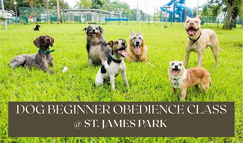 Dog Beginner Obedience Class at St. James Park with Orion Dog Training, 8 May | Event in San Jose | AllEvents
