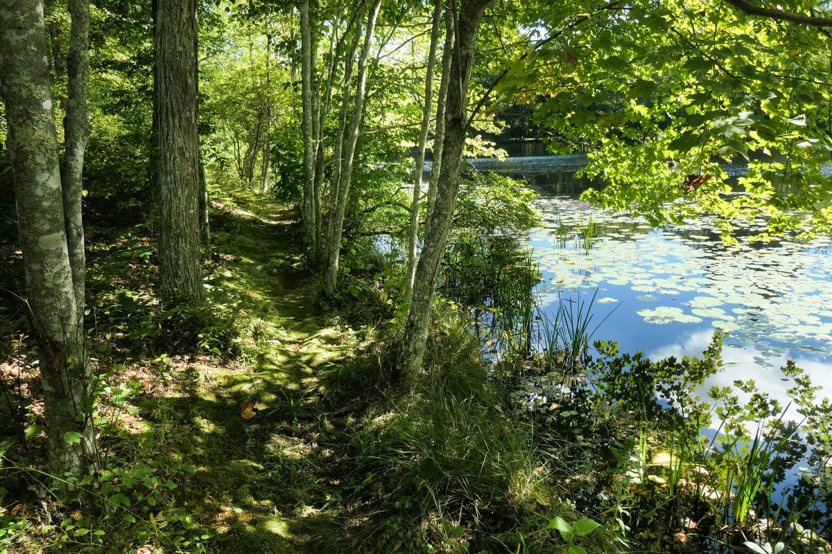 Open Trails + Memory Reconsidered – A Modest Proposition, 18 May | Event in East Haddam | AllEvents