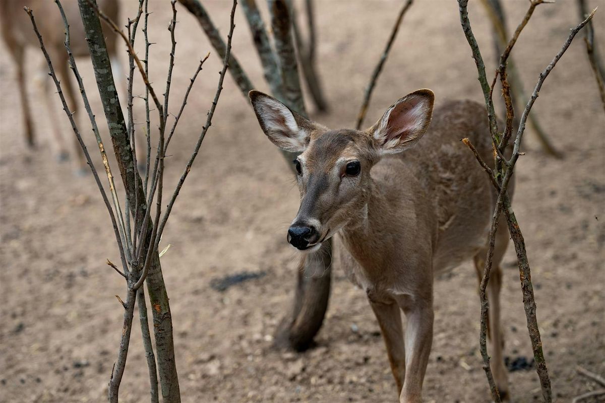 2026 Wildlife Management for Ag-Use Valuation Workshop