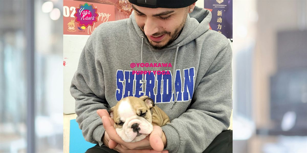 Puppy Yoga by Yoga Kawa Markham - Caucasian Sheppards, 14 December | Event in Markham | AllEvents