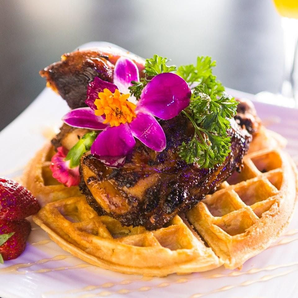 Thanksgiving 2021 Events Parties In Dallas Allevents In