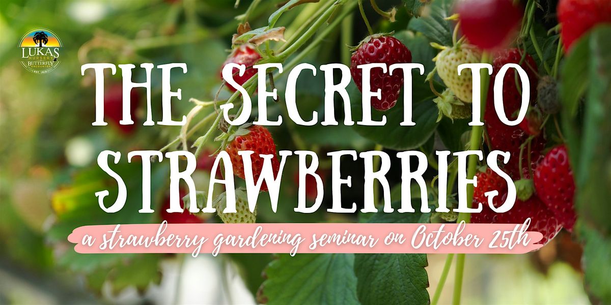 The Secret to Strawberry Gardening by Lukas Nursery in Oviedo, 25 October | Event in Oviedo | AllEvents