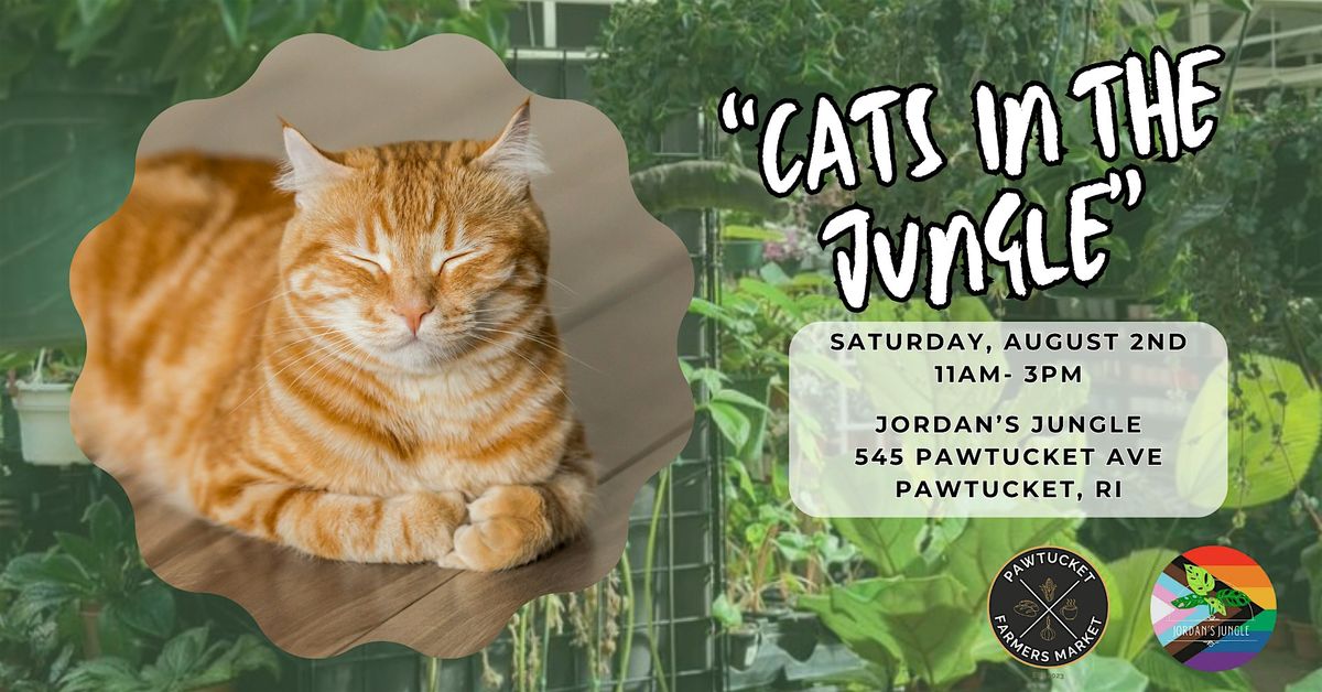 Cats in the Jungle, 2 August | Event in Pawtucket | AllEvents