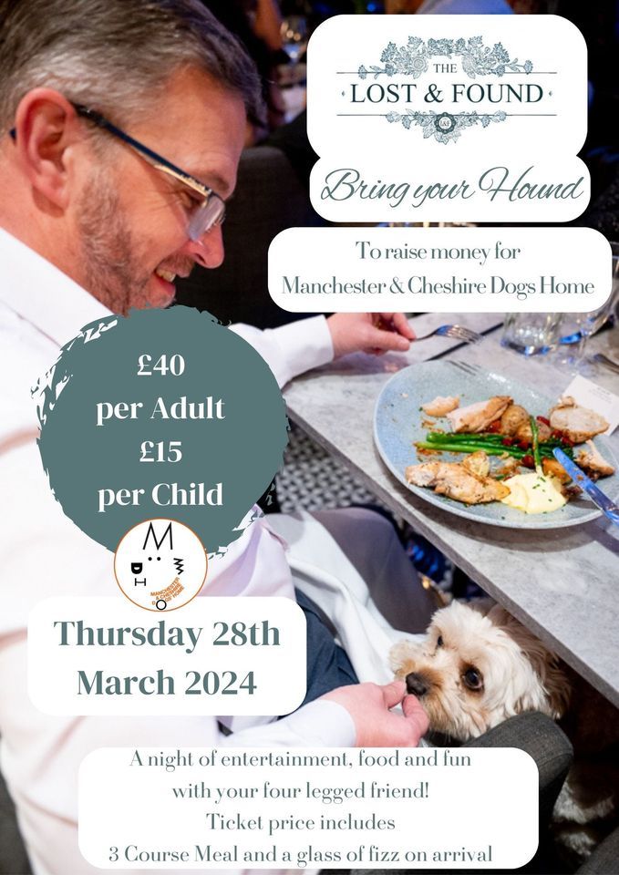 Lost & Found Bring Your Hound!, The Lost & Found Knutsford, Alderley