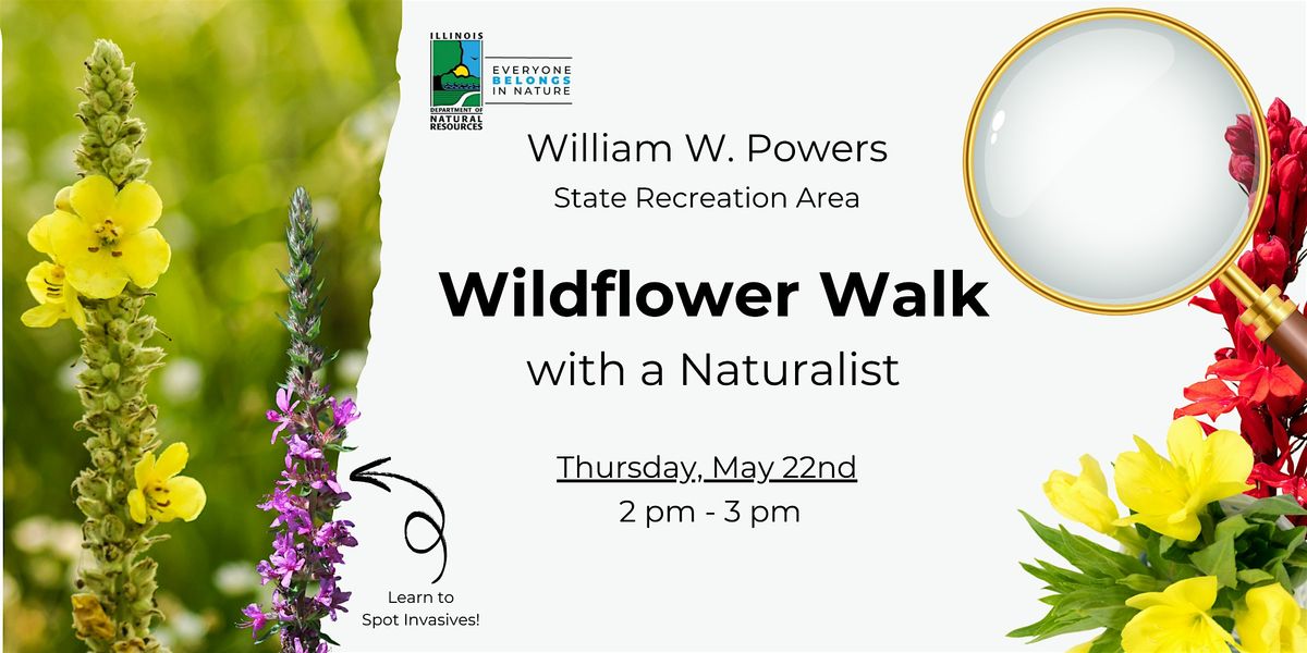 Wildflower Walk (with a Naturalist), 24 September | Event in Chicago | AllEvents