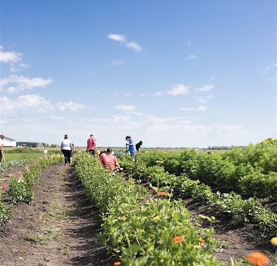 Field Trip to Farmer in the Dell, 30 June | Event in Moorhead | AllEvents