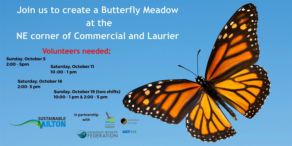 Creating a Butterfly Meadow | Event in Milton | AllEvents