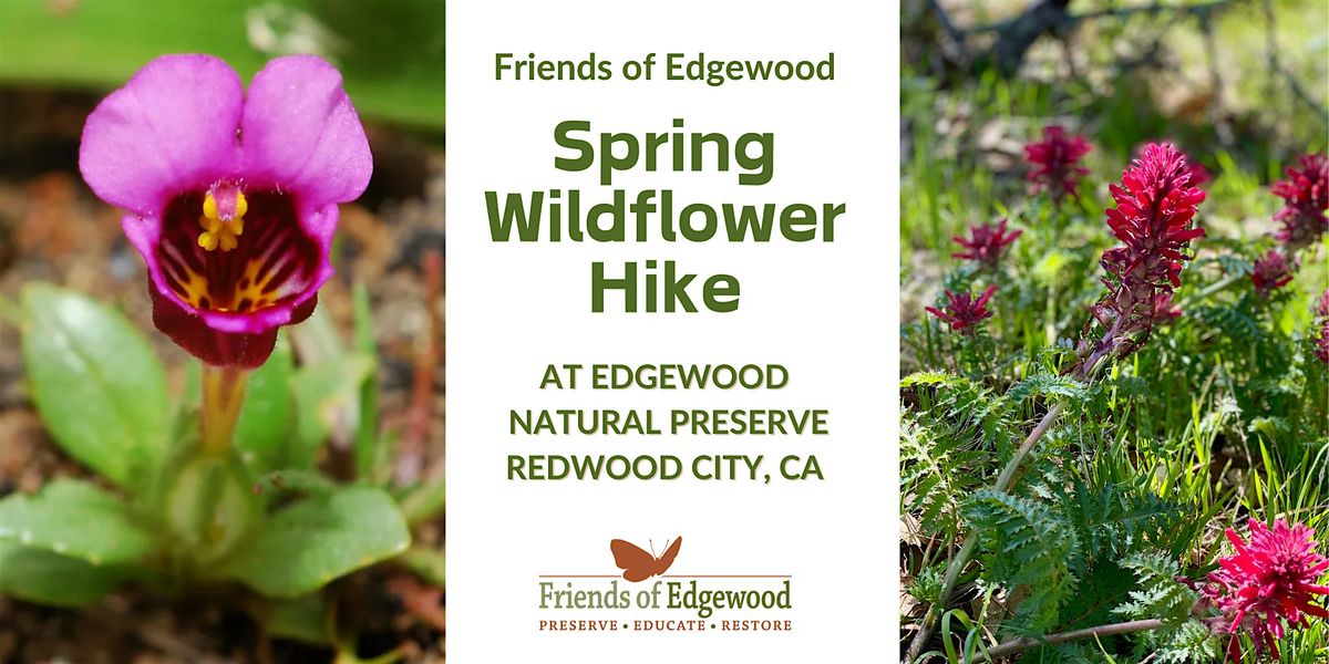 Spring Wildflower Hike at Edgewood Park and Natural Preserve, 4 May | Event in Redwood City | AllEvents