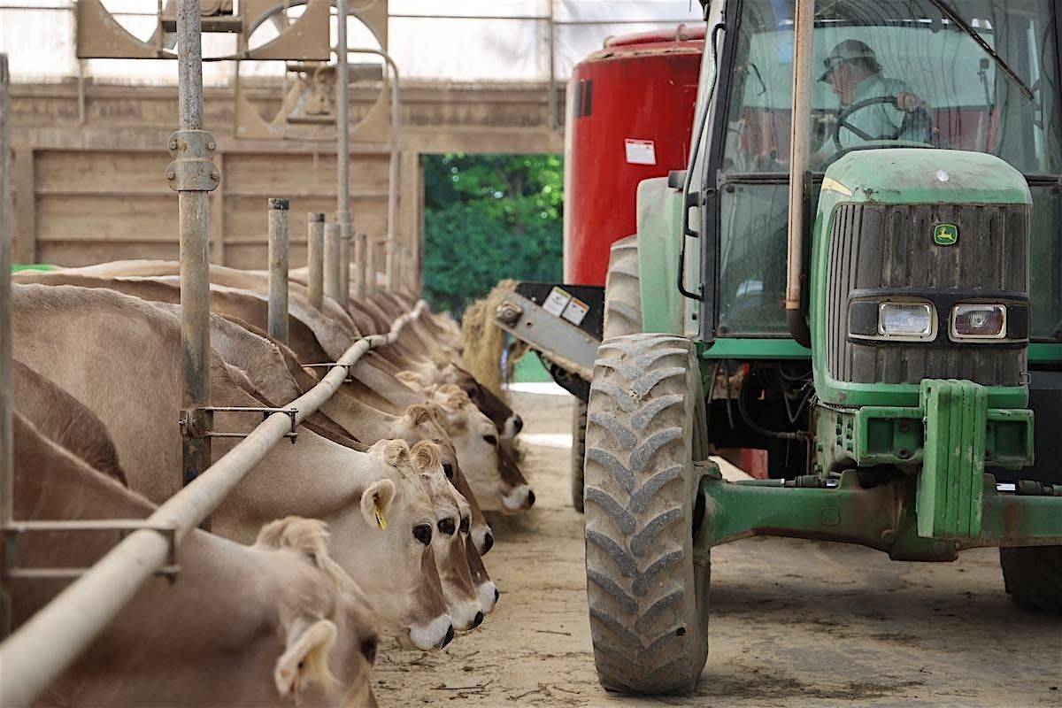 Cows, Cheese, and Tractors!, 9 September | Event in Shelburne | AllEvents