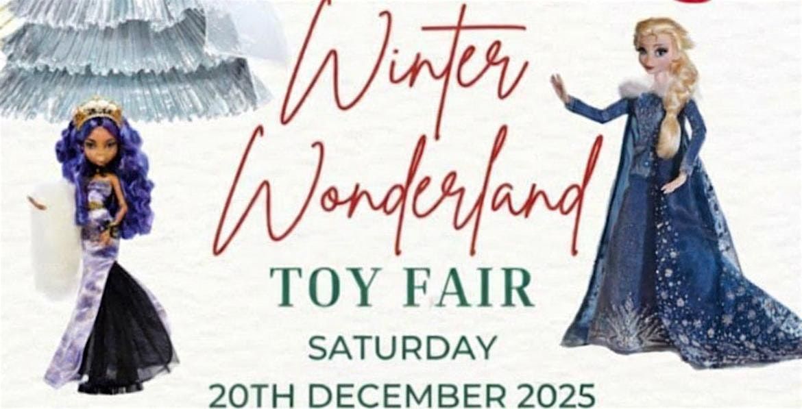 The Winter Wonderland Toy Fair, 20 December | Event in Dublin 15 | AllEvents