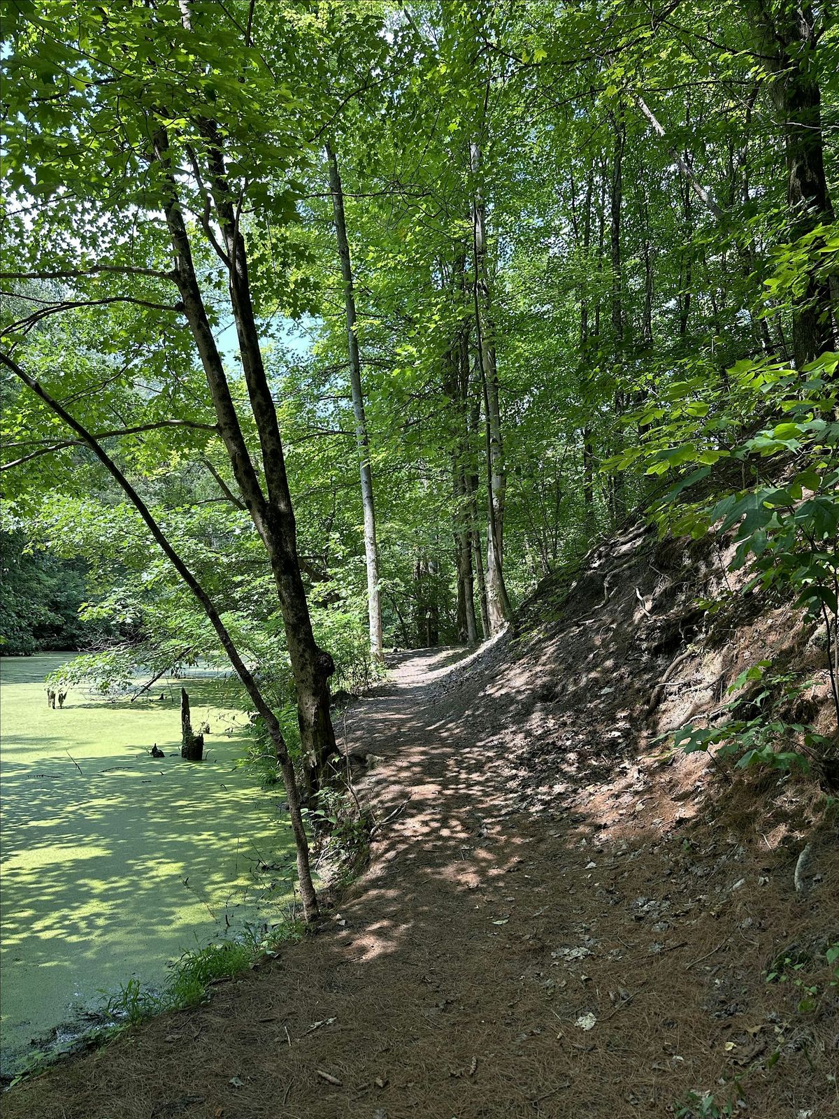 Interacting with Nature: Compass Course, Session 1, 22 July | Event in Dover | AllEvents