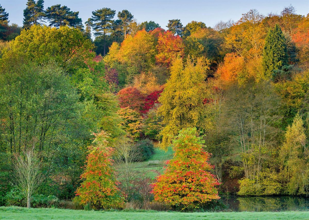 Winkworth (a NT Arboretum), Hydon’s ball summit and Godalming HIKE, 8 November | Event in London | AllEvents