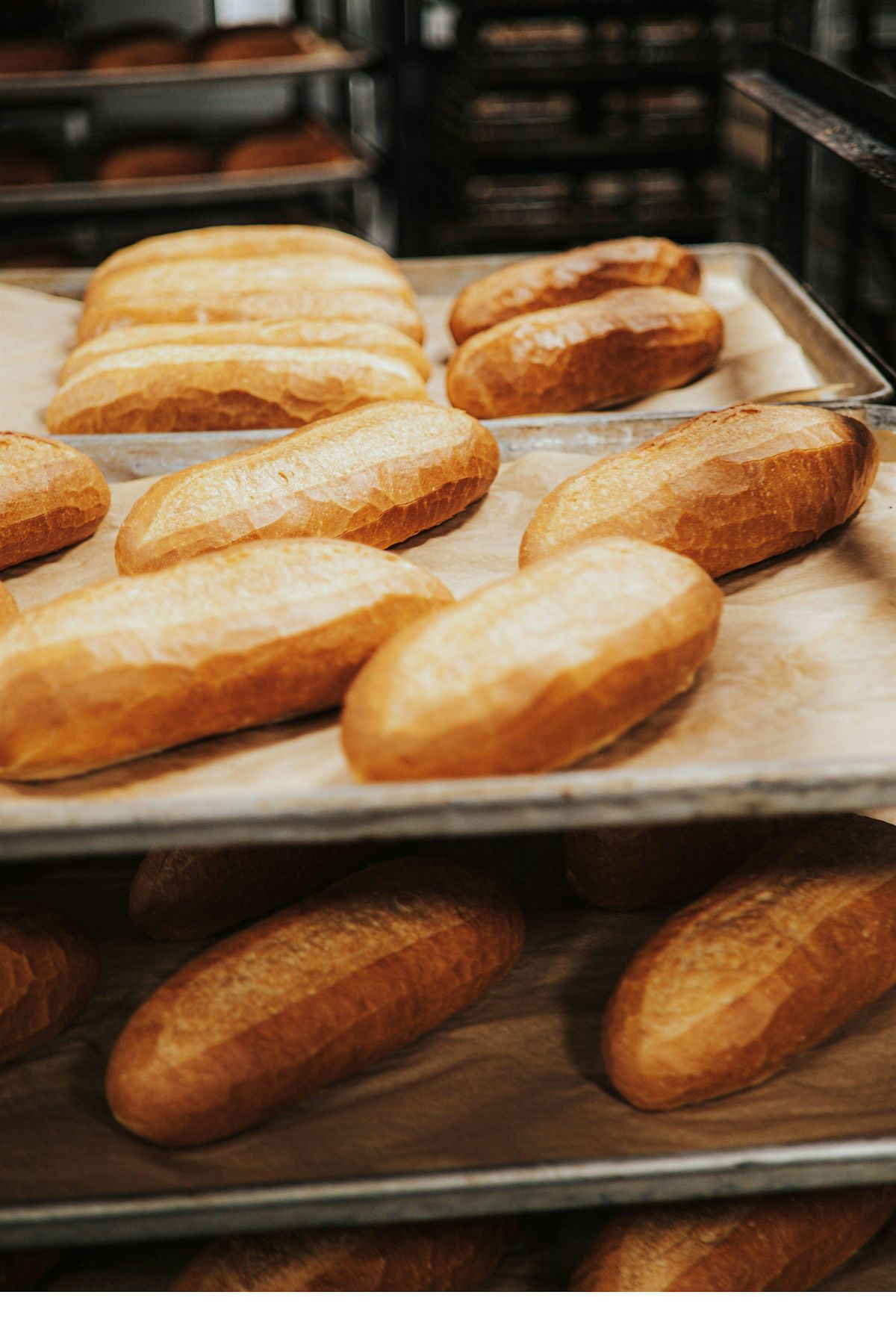 How To Bake Italian Breads, 12 October | Event in Austin | AllEvents