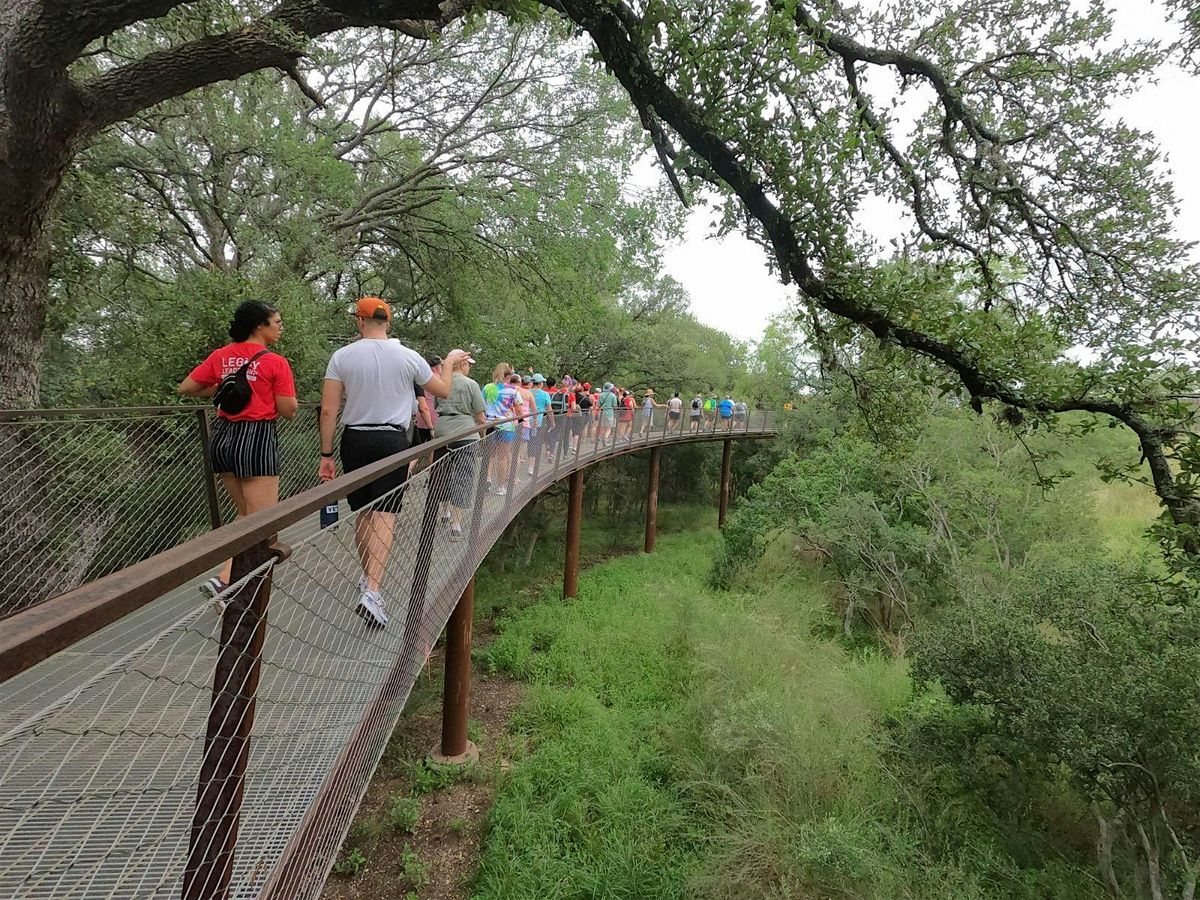 Raising Caterpillars 101, 17 May | Event in San Antonio | AllEvents