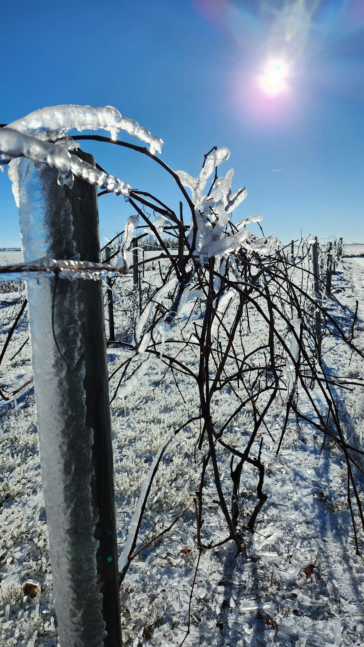 2026 NDGWA Conference, Annual Meeting and Wine Competition