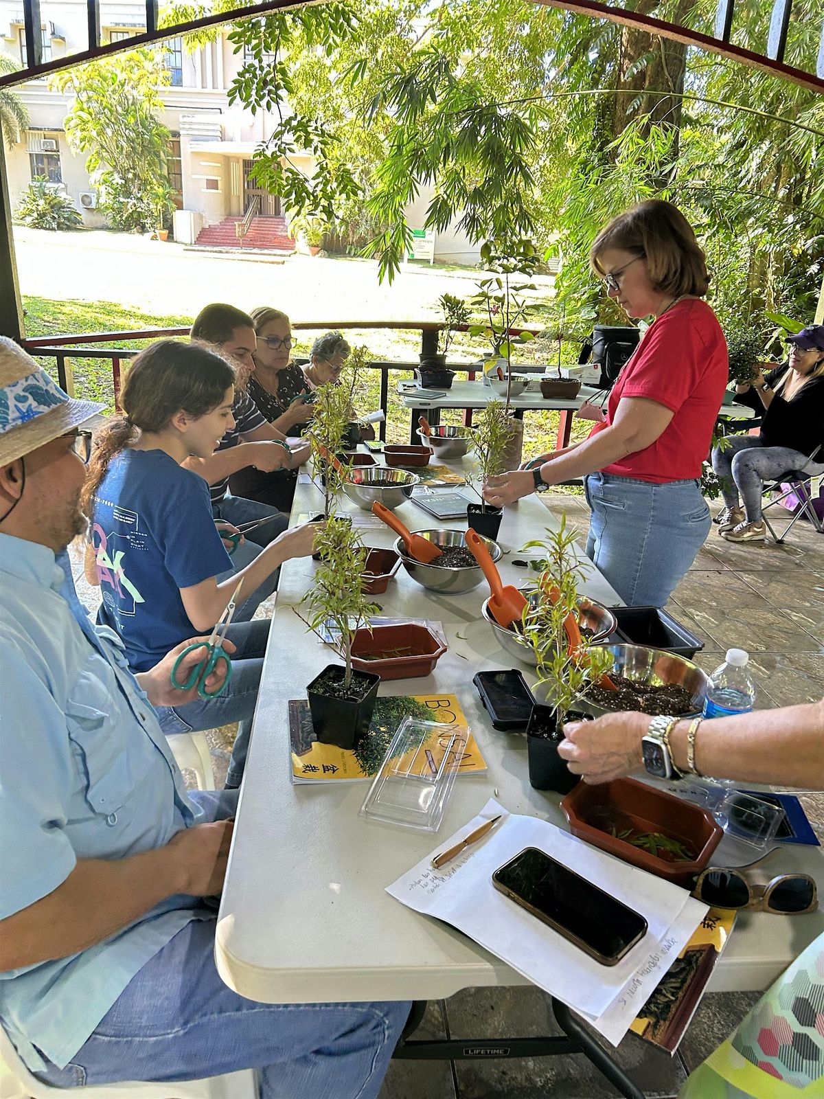 Curso: Fundamentos Básicos del Bonsái, 9 August | Event in San Juan | AllEvents