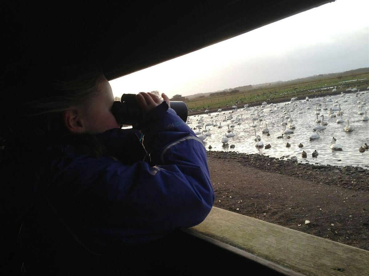 Understanding Birds Outing – WWT Martin Mere, 4 December | Event in Burscough | AllEvents