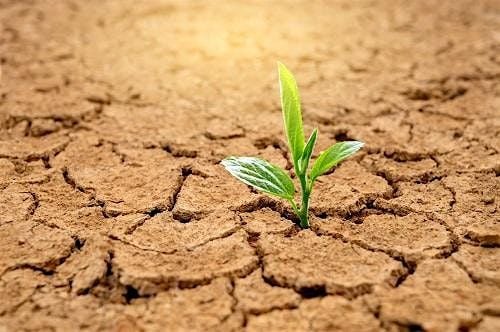 Roots of Regeneration: A Holistic Land Management Workshop, 12 September | Event in Red Rock | AllEvents