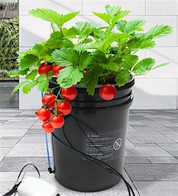 Introduction to Hydroponics & Deep Water Culture, 21 June | Event in Raleigh | AllEvents