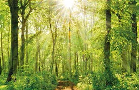 Loss, Grief and Bereavement, 15 July | Event in Bristol | AllEvents