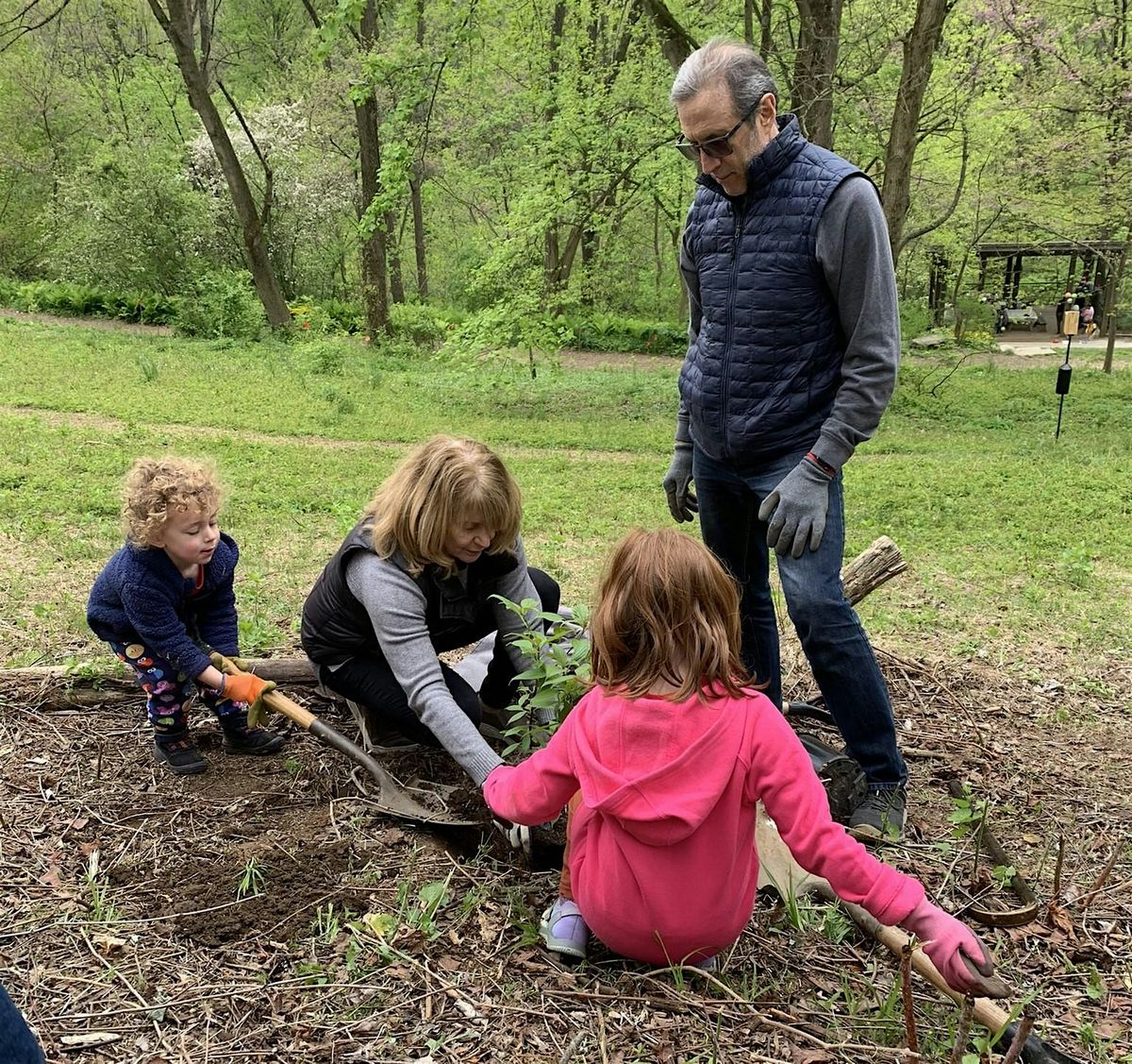 Fall Adopt-A-Tree Tree Planting, 25 October | Event in Gladwyne | AllEvents