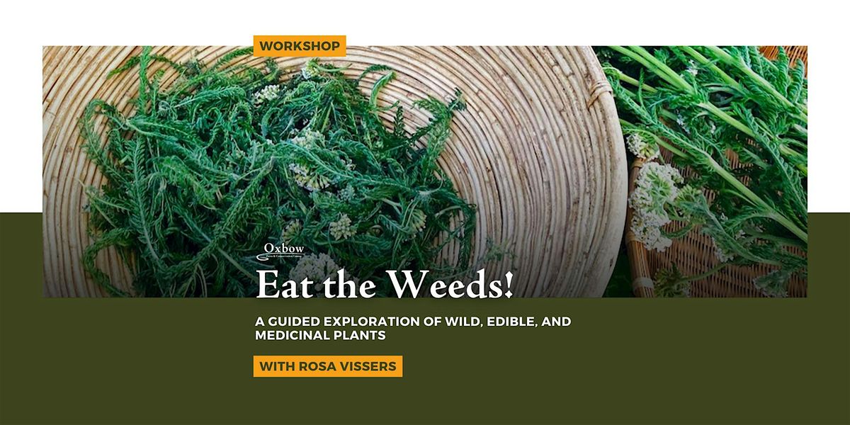 Eat the Weeds!, 7 June | Event in Carnation | AllEvents