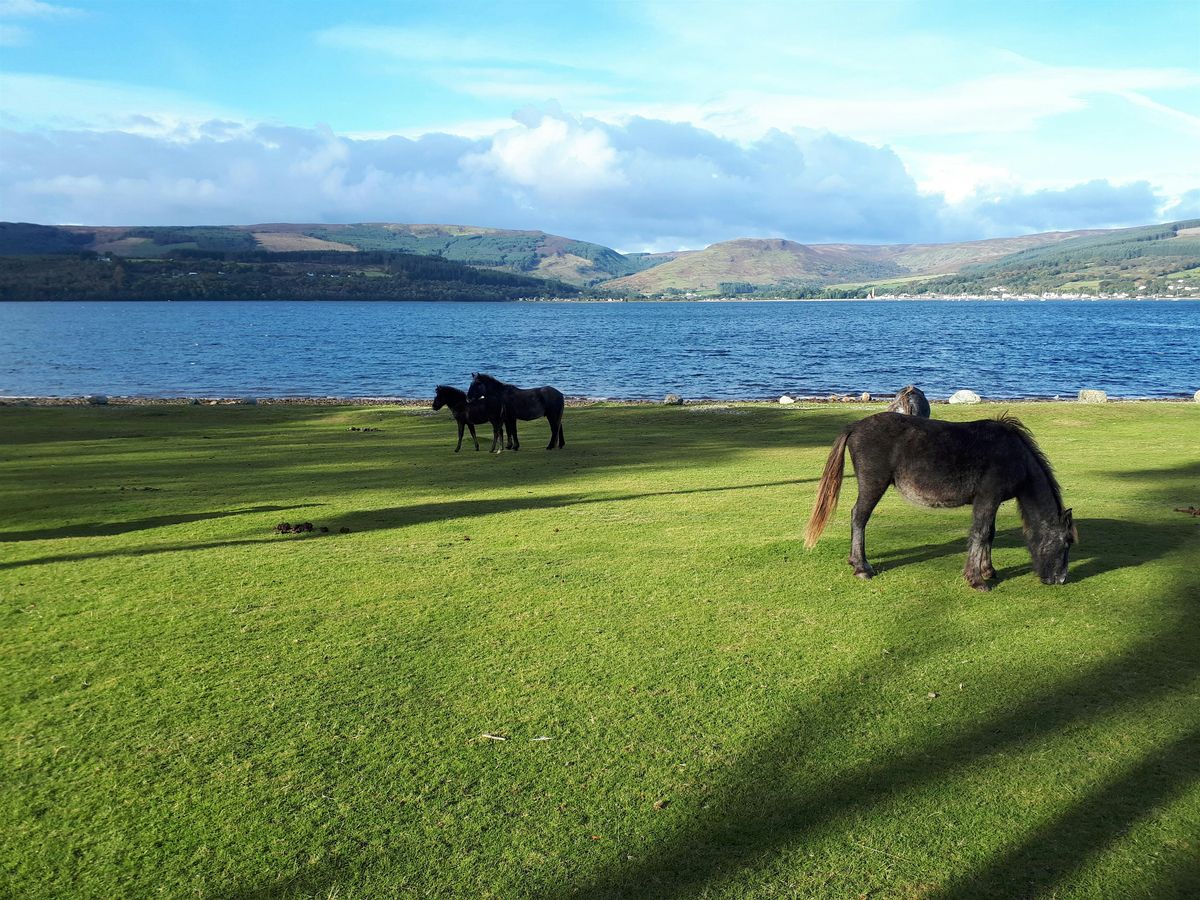 Drop In Dream Group | Event in Edinburgh | AllEvents