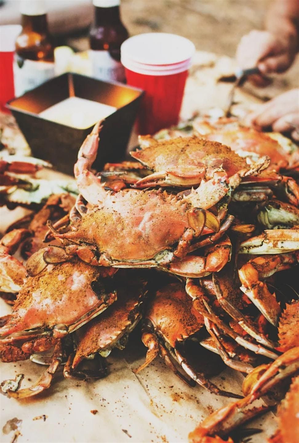 Steak & Seafood Feast 2025, 13 September | Event in Petersburg | AllEvents