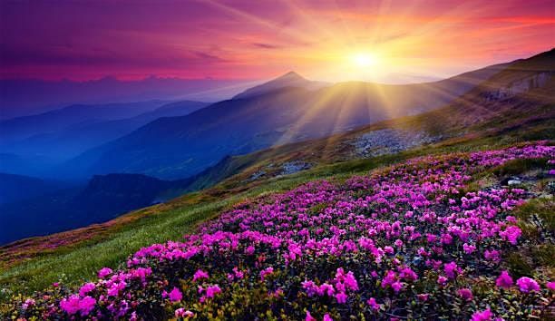 Clinical Hypnosis for Self-Compassion (IN PERSON), 23 October | Event in Nelson | AllEvents