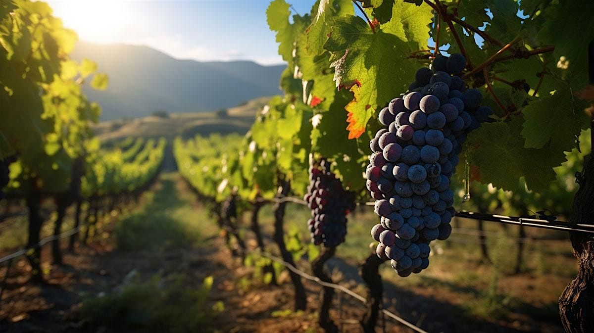 Clipper Inn Food & Wine Paring - Down Under Delights, 25 June | Event in Clayton | AllEvents