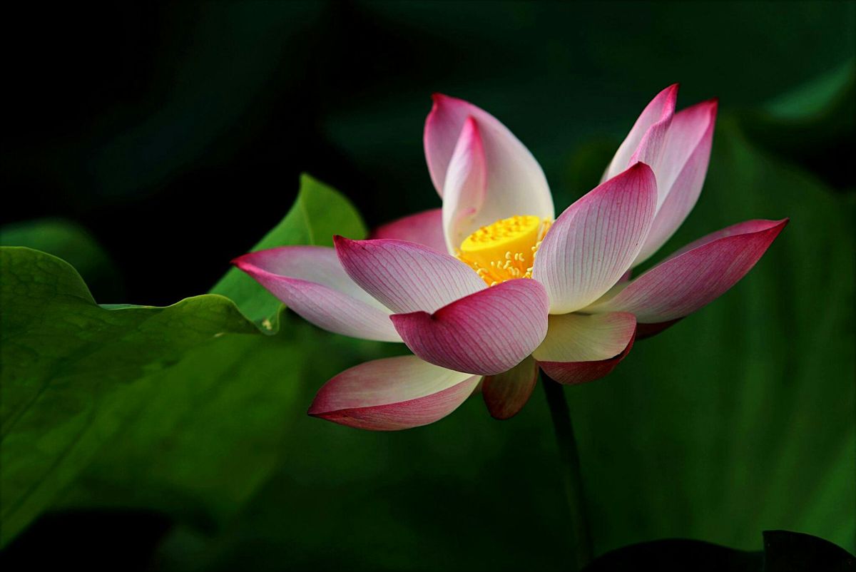 Come and Rest – A Day Retreat, 27 October | Event in Woking | AllEvents